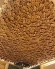 3D-Панно из можжевельника на щите 700х600 мм в Самаре