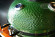 Керамический гриль SG с окошком, 57 см / 22 дюйма (зеленый) (Start Grill) в Самаре